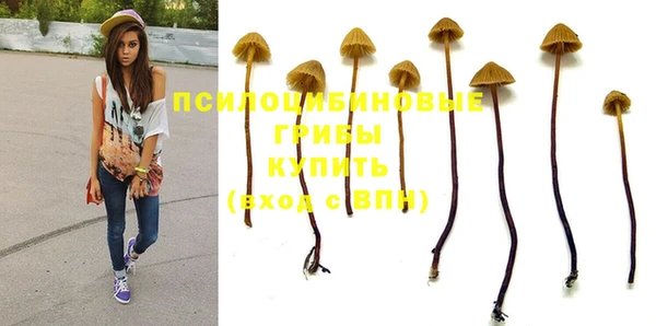 мескалин Кинешма