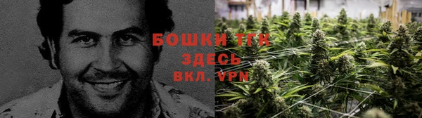 экстази Алексин
