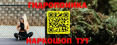 не бодяженный Будённовск