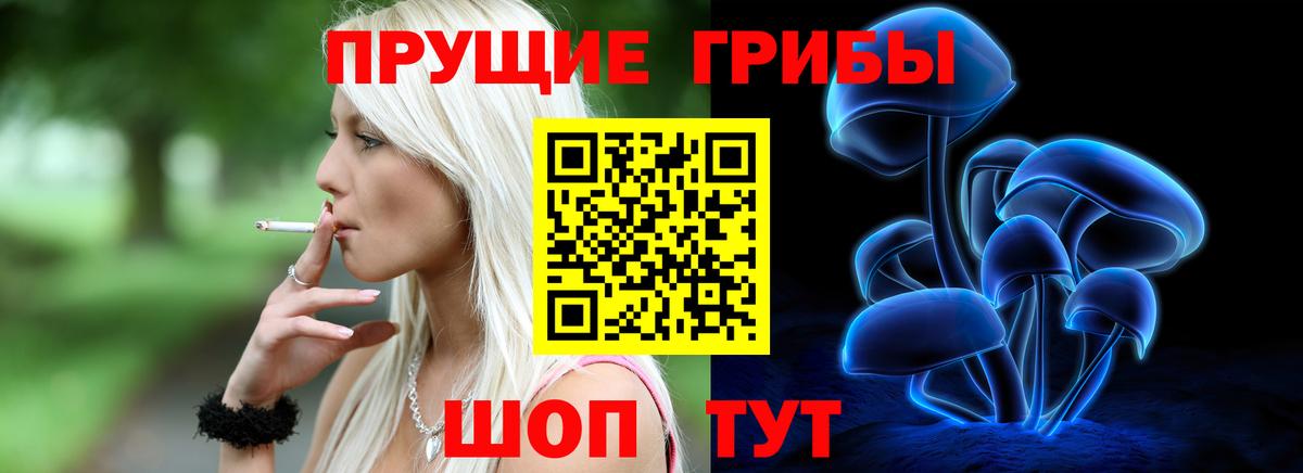 Галлюциногенные грибы прущие грибы  Вход с VPN  Аша 